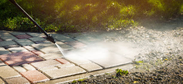 Best Animal Enclosure Cleaning  in Makawao, HI